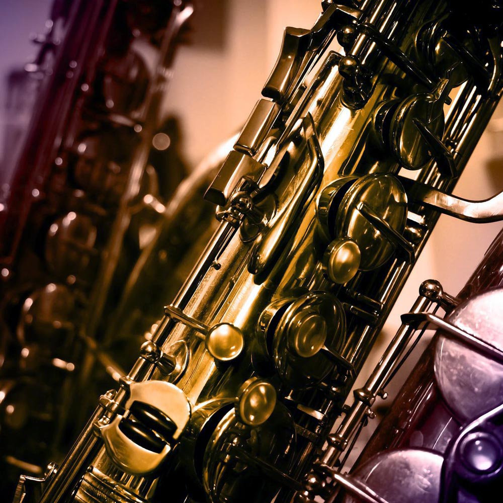 Rental band instruments at Brass Monkey Music in Buffalo, NY